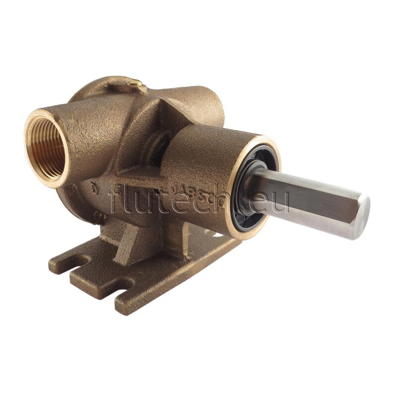 Купить Jabsco 52040-2001 Бронзовый насос, с ножным креплением, BG 040, 19 мм (3/4") резьбовые порты BSP, NEO 7ft.ru в интернет магазине Семь Футов