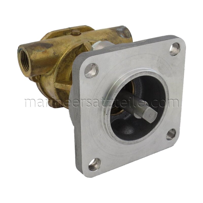 Купить Johnson Pump 10-24319-01 Bronze Impeller Pump F4B-9, фланцевое крепление, 3/8" BSP, 1/1, MC97 7ft.ru в интернет магазине Семь Футов