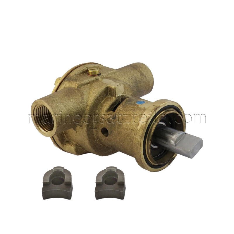 Купить Johnson Pump 10-35211-5 Bronze Impeller Pump F35B-9, flange-mounted, 3/8" 18 NPSF, 1/1, MC97 7ft.ru в интернет магазине Семь Футов