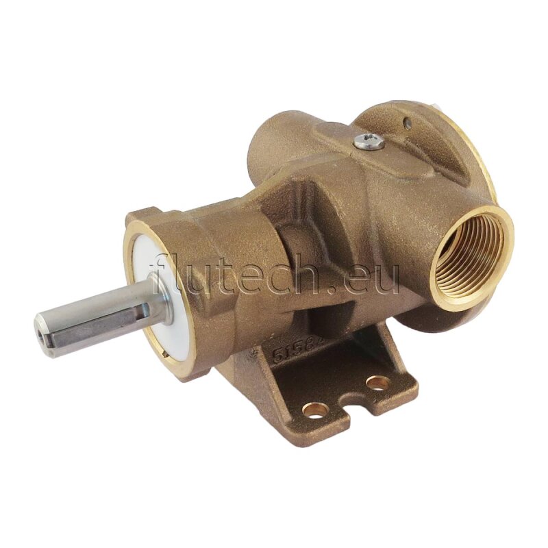 Купить Jabsco 52580-2001 Бронзовый насос, с ножным креплением, BG 080, 25 мм (1") BSP резьбовые порты, МЕХАНИЧЕСКИЙ, НЕО 7ft.ru в интернет магазине Семь Футов