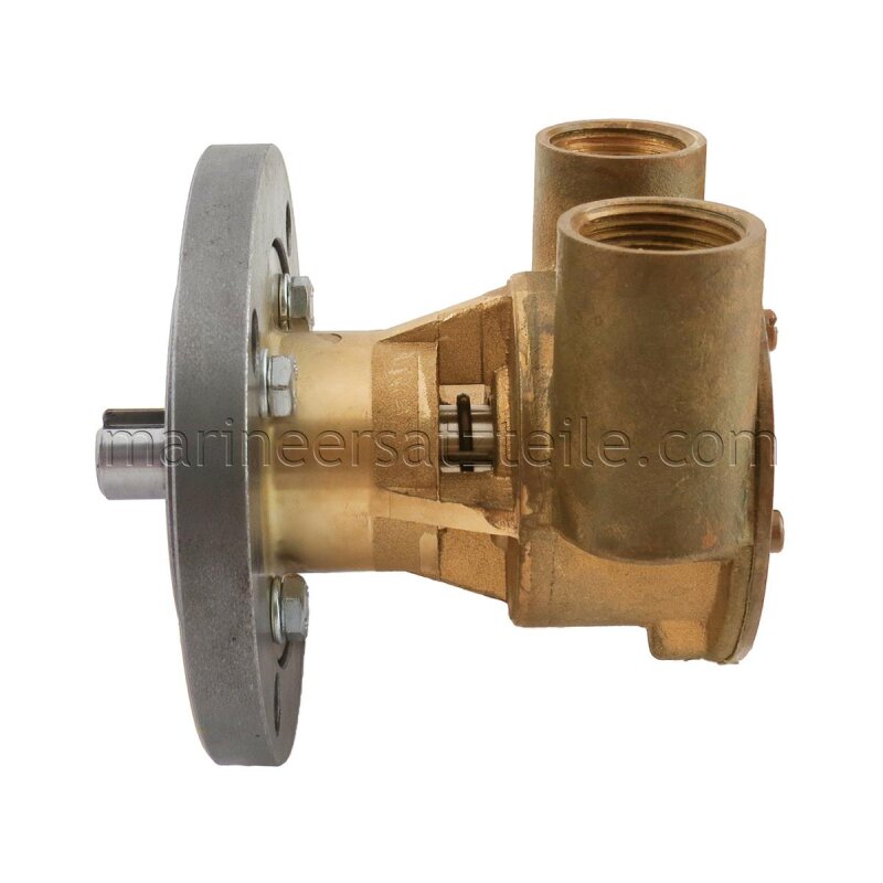 Купить Johnson Pump 10-24100-1 Bronze Impeller Pump F5B-9, flange-mounted, R 3/4" BSP, 1/1, MC97 7ft.ru в интернет магазине Семь Футов