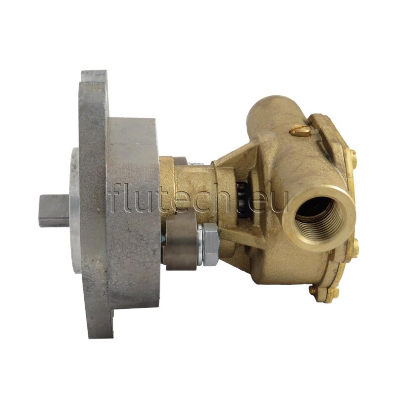Купить Johnson Pump 10-24514-01 Гибкая крыльчатка насоса из бронзы F4B-9, фланцевое исполнение, резьбовые соединения ISO 7/1-Rp 3/8, 1/1, MC97 7ft.ru в интернет магазине Семь Футов