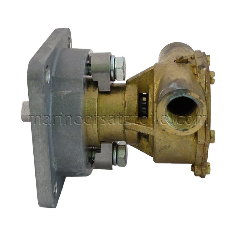 Купить Johnson Pump 10-24319-01 Bronze Impeller Pump F4B-9, фланцевое крепление, 3/8" BSP, 1/1, MC97 7ft.ru в интернет магазине Семь Футов