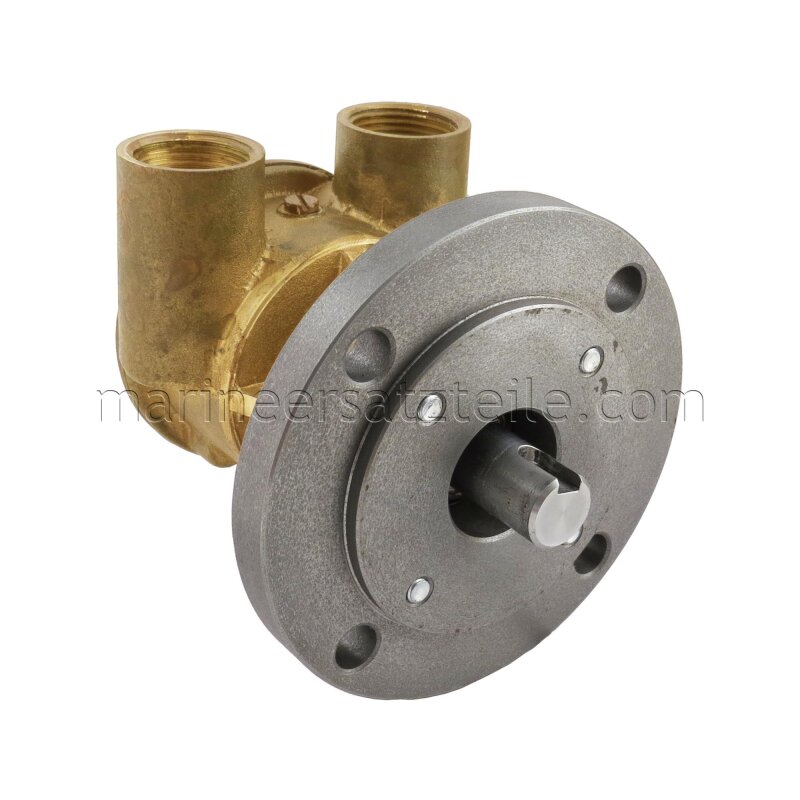Купить Johnson Pump 10-24100-1 Bronze Impeller Pump F5B-9, flange-mounted, R 3/4" BSP, 1/1, MC97 7ft.ru в интернет магазине Семь Футов