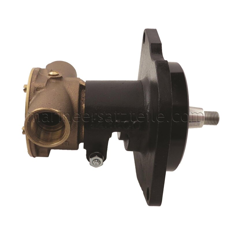 Купить Jabsco 10950-2401 Бронзовый насос, с фланцевым креплением, BG 040, 19 мм (3/4") BSP резьбовые порты, NEO 7ft.ru в интернет магазине Семь Футов