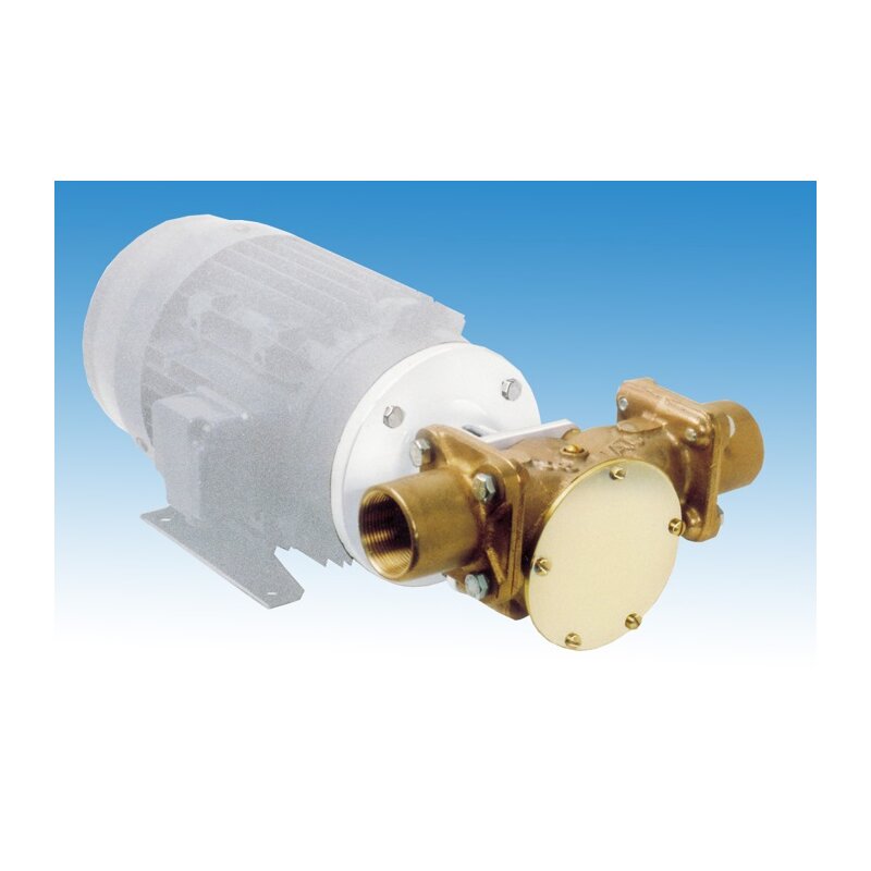 Купить Jabsco 22880-2003 Бронзовый импеллерный насос, насосная головка с фланцевым адаптером, размер 200, 1-1/2" BSP, 1/1, NIT 7ft.ru в интернет магазине Семь Футов