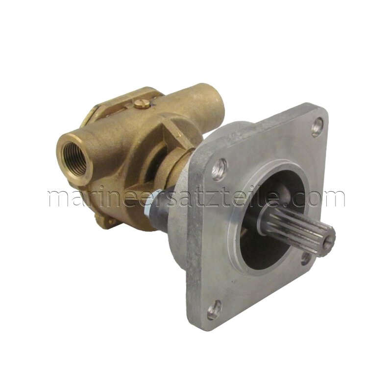 Купить Johnson Pump 10-24321-01 Bronze Impeller Pump F4B-9, фланцевое крепление, R 3/8" BSP, 1/1, MC97 7ft.ru в интернет магазине Семь Футов