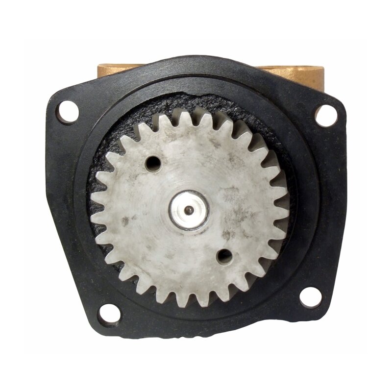Купить Jabsco 10970 Бронзовый насос, корпус подшипника/фланцевый монтаж, 3/4" NPT, 1/1, NEO 7ft.ru в интернет магазине Семь Футов