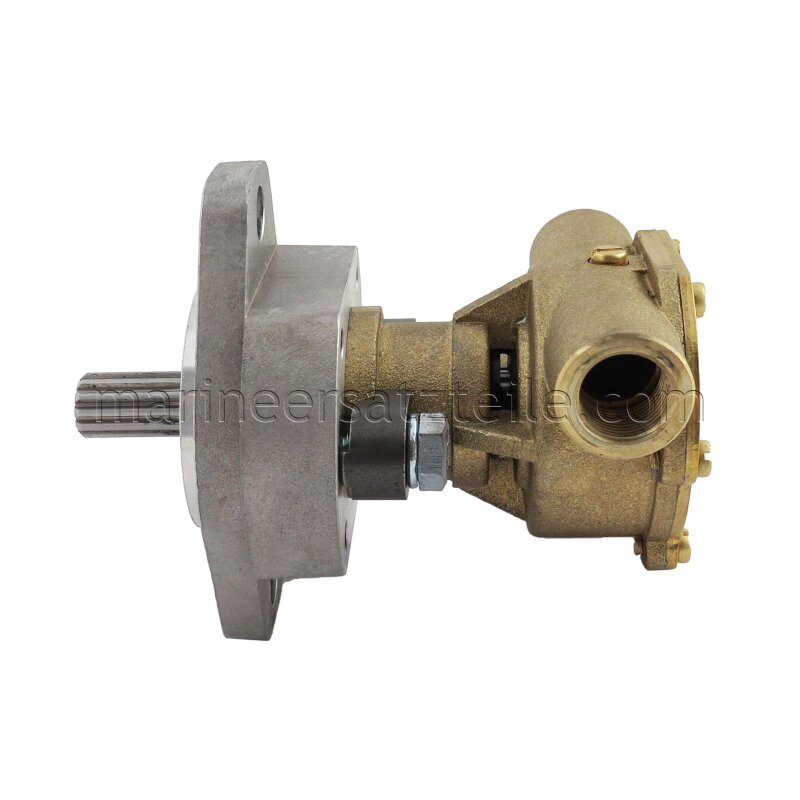 Купить Johnson Pump 10-24326-01 Bronze Impeller Pump F4B-9, фланцевое крепление, R 3/8" BSP, 1/1, MC97 7ft.ru в интернет магазине Семь Футов