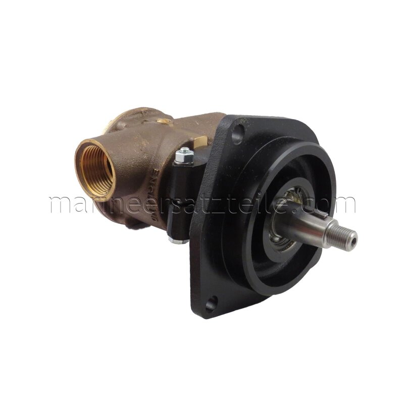 Купить Jabsco 21140-2401 Бронзовый насос, фланцевого монтажа, BG 080, 25 мм (1") BSP резьбовые порты, NEO 7ft.ru в интернет магазине Семь Футов