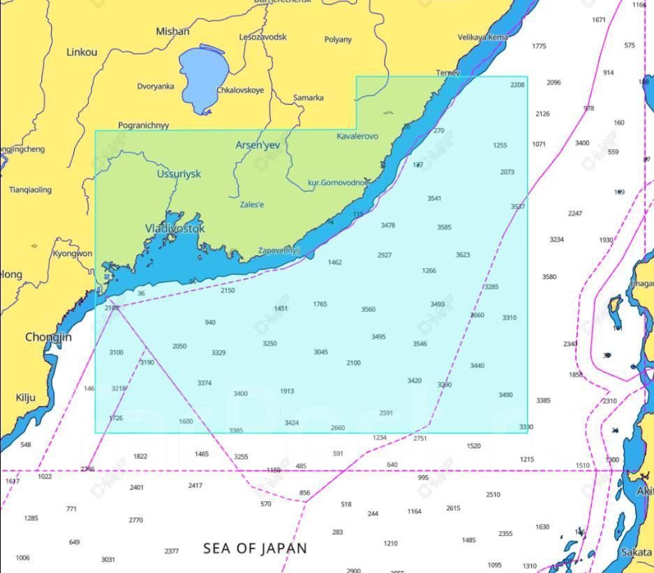 Карта MAX-N+ Кенсонский залив-Пластун C-MAP Y009_