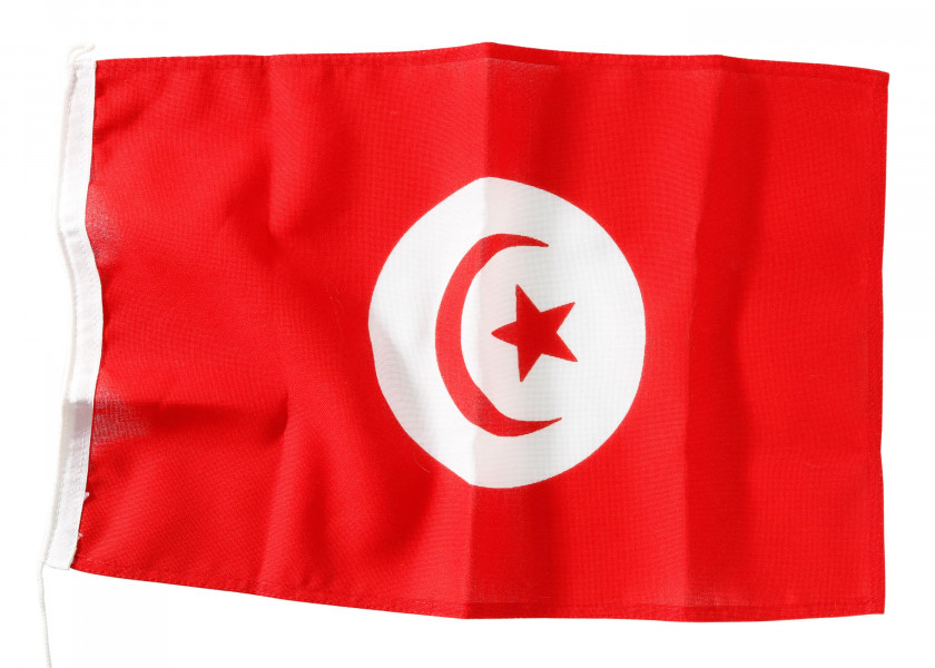 Купить Флаг - Тунис / Высота: 500 мм 7ft.ru в интернет магазине Семь Футов