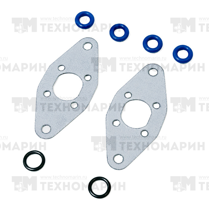 Комплект прокладок RAVE клапана BRP 09-719203 SPI