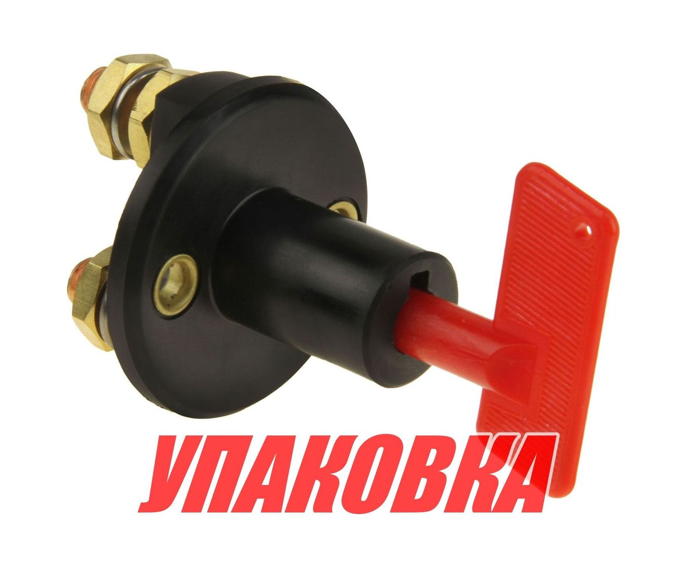 Купить Выключатель массы-ключ \'OFF-ON\' (1 АКБ) 100А (упаковка из 100 шт.) AES.Co AES121111_pkg_100 7ft.ru в интернет магазине Семь Футов