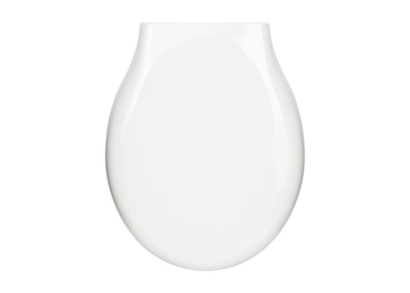 Купить OCEAN TECHNOLOGIES Replacement Toilet Seat / luxury / soft close 76911-bvs 7ft.ru в интернет магазине Семь Футов