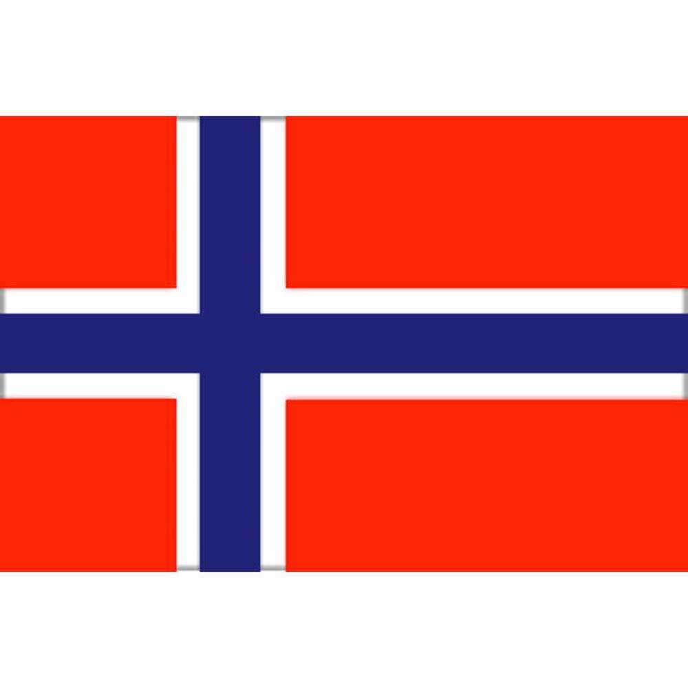 Adria bandiere 5252353 Флаг Норвегии Красный  Multicolour 20 x 30 cm 
