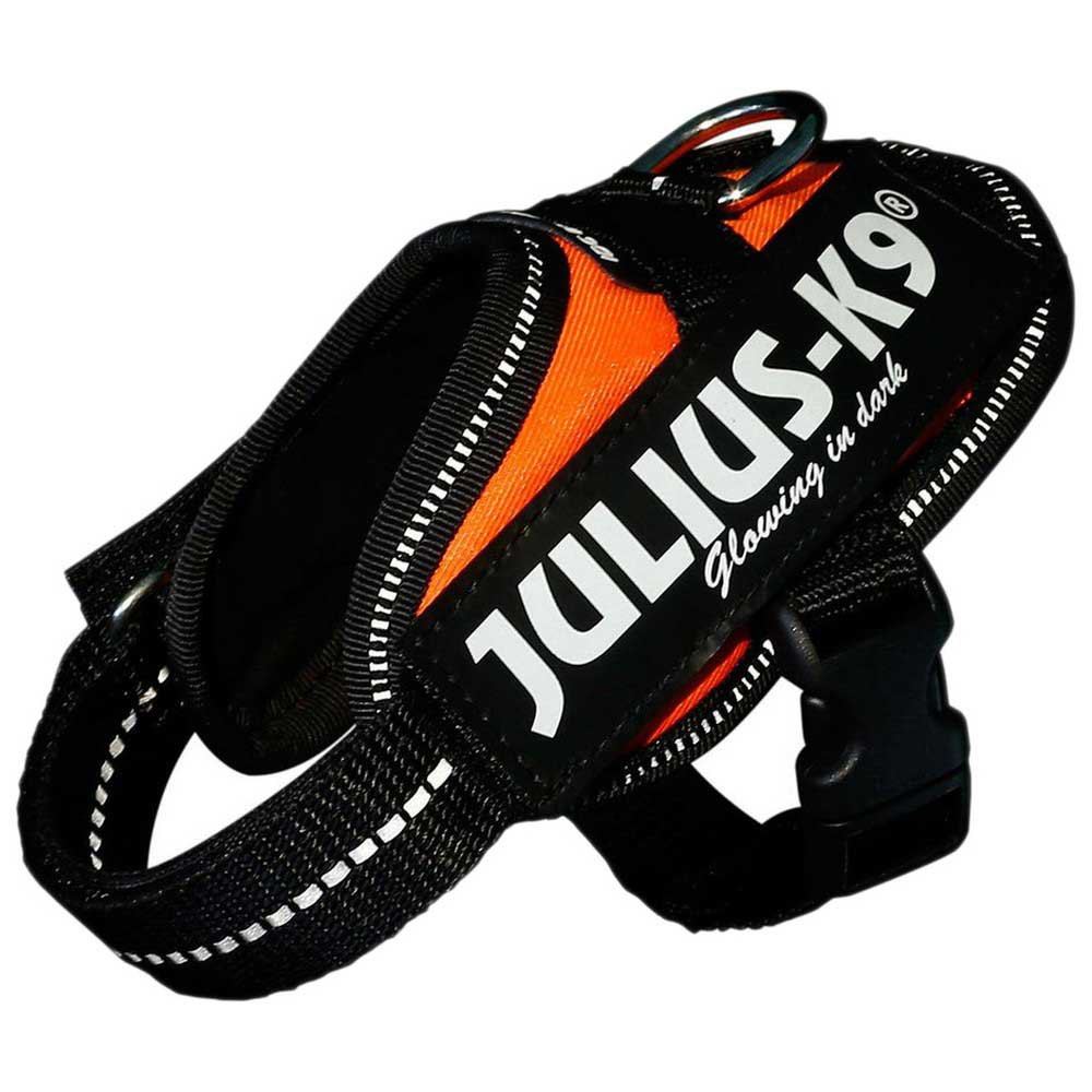 Julius k-9 16IDC-FOR-4 IDC® Power Обуздать Оранжевый UV Orange 3XL-4