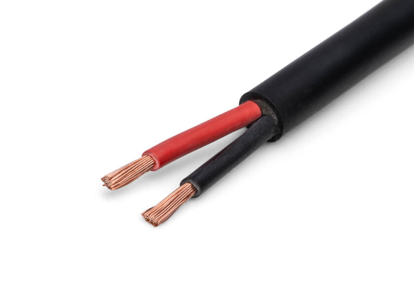 Купить Speaker Cable 26173-bvs 7ft.ru в интернет магазине Семь Футов