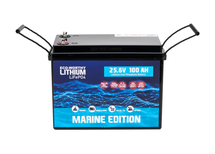 Купить Морская литиевая батарея LiFePO4 / 24 В / 100 Ач 7ft.ru в интернет магазине Семь Футов