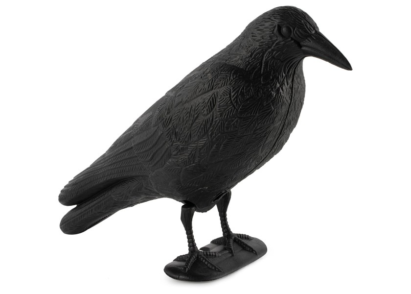 Купить PAULI Bird Deterrent 20118-bvs 7ft.ru в интернет магазине Семь Футов