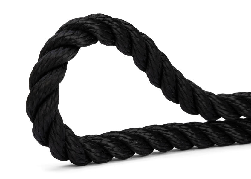 Купить GLEISTEIN 249100301 GeoTWIST Полиэстер - Трехниточный швартовочный трос / черный / Веревка-Ø: 10 мм 16210-bvs 7ft.ru в интернет магазине Семь Футов