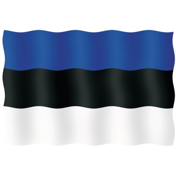 Флаг Эстонии гостевой из перлона/шерсти 20 x 30 см 20030-33103