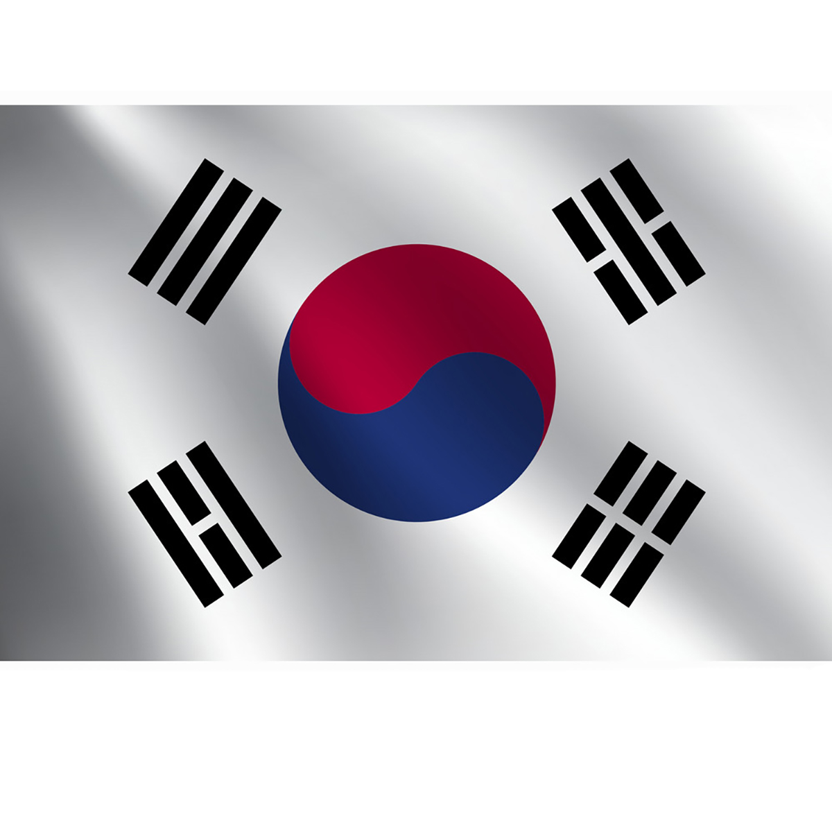 Флаг Южной Кореи гостевой Adria Bandiere BSoCor1 20x30см