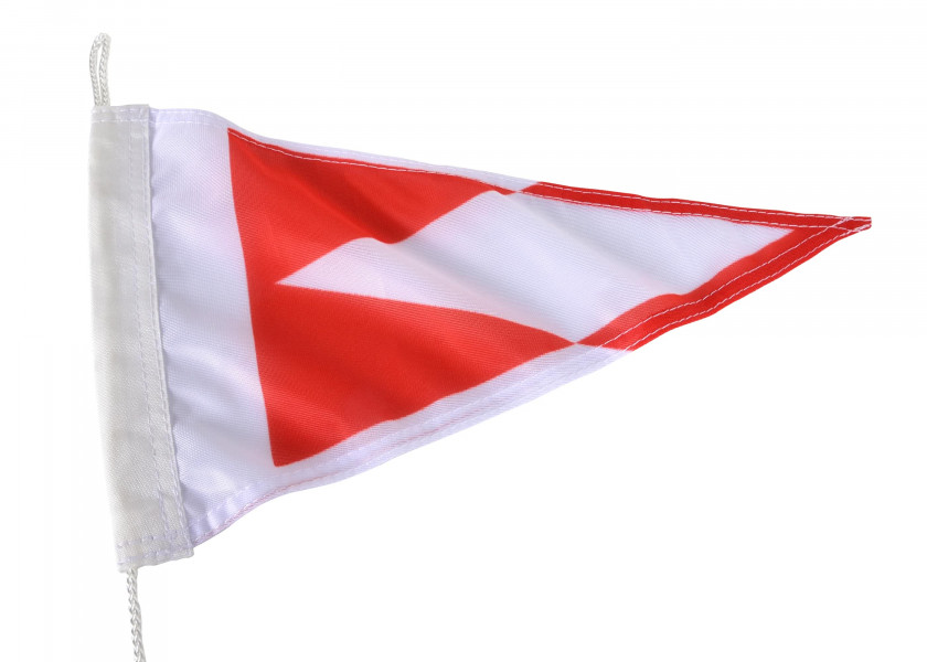 Купить CLUB BURGEES Club Burgee for Wassersportverein Niederviehland (German registered association) 50585-bvs 7ft.ru в интернет магазине Семь Футов