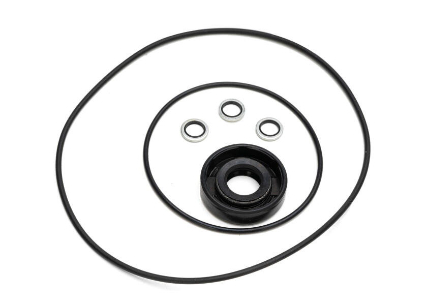 Купить LECOMBLE & SCHMITT Sealing Kit for 40ST16 and 50ST20 drive units 32254-bvs 7ft.ru в интернет магазине Семь Футов