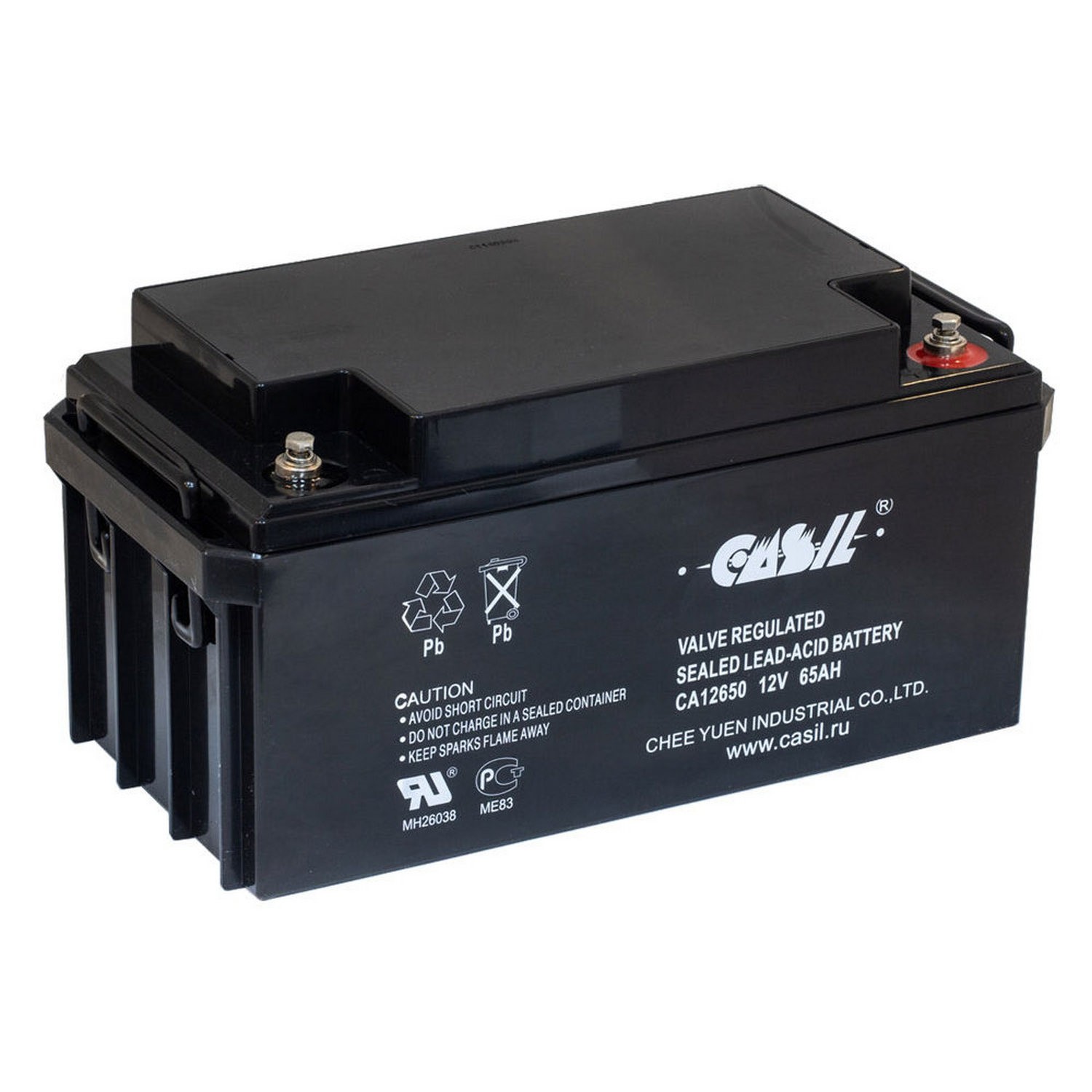 Аккумуляторная батарея глубокого разряда необслуживаемая CASIL CA 12650 12 В 65 Ah 445 А 345 x 175 x 175 мм тип AGM VRLA