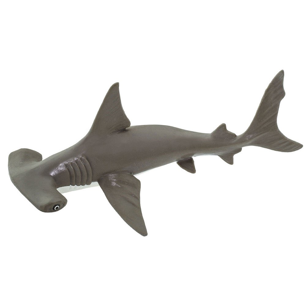 邦楽 Hammer head shark Baby Youth Safari ltd S267929 Hammerhead Shark Baby Фигура Серый Grey From 3