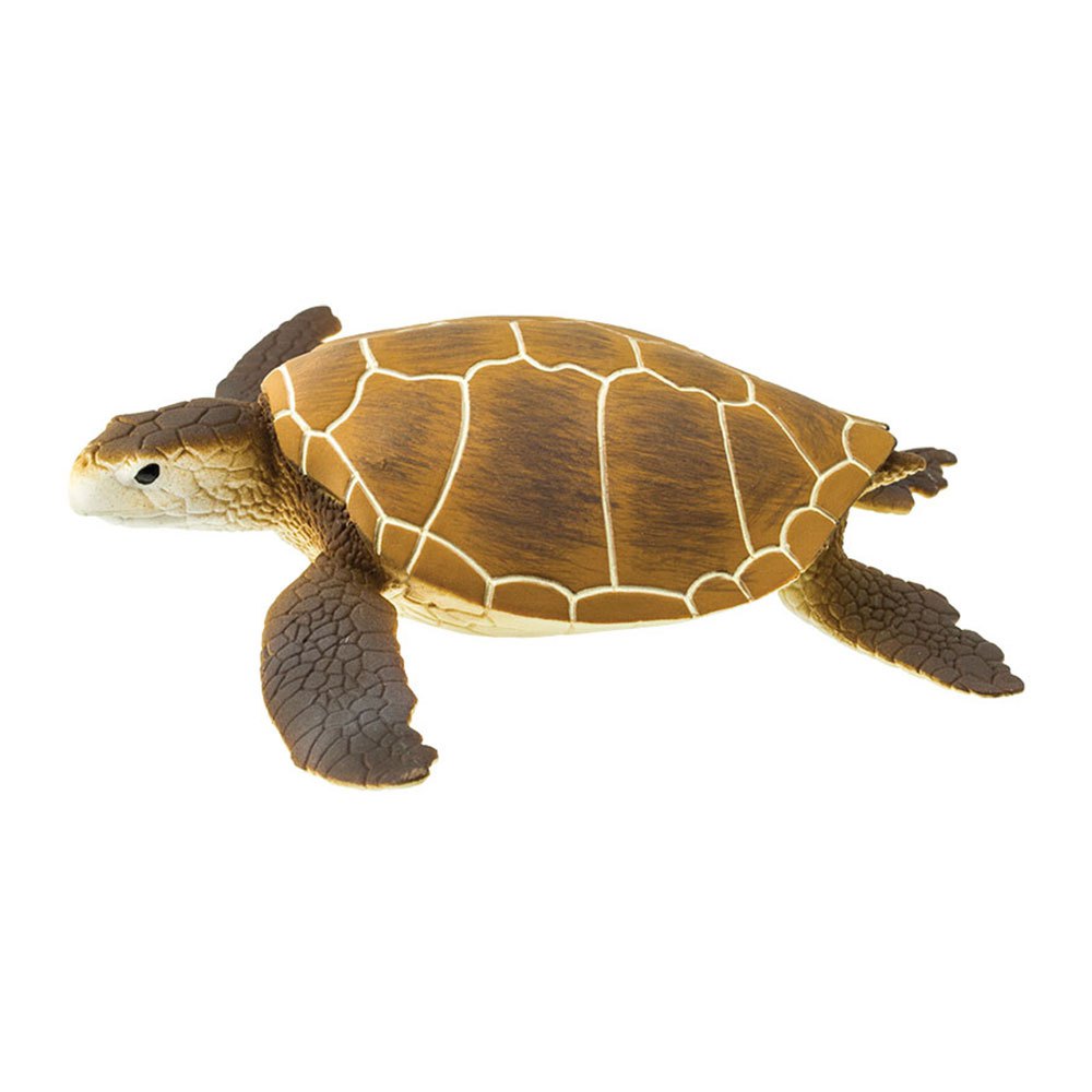Safari ltd S202329 Green Sea Turtle Фигура Коричневый Brown From 3 Years 