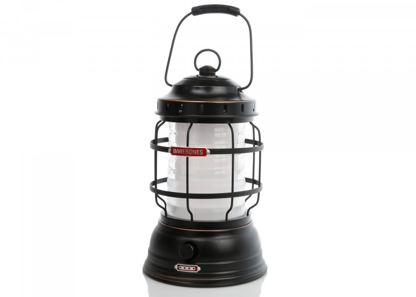 Купить BAREBONES Светодиодный настольный фонарь/бронза 21258-bvs 7ft.ru в интернет магазине Семь Футов