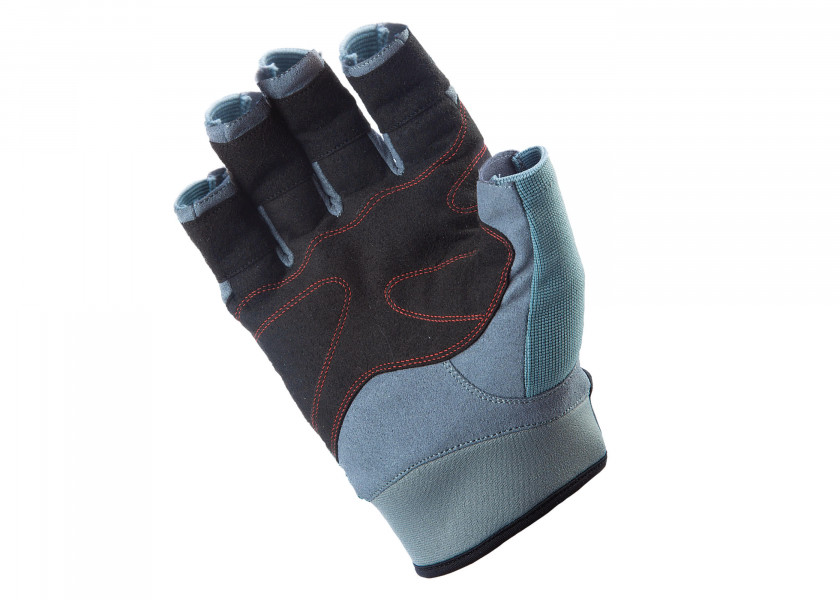 Купить SEATEC RACE Professional Sailing Glove / fingerless 472787-bvs 7ft.ru в интернет магазине Семь Футов