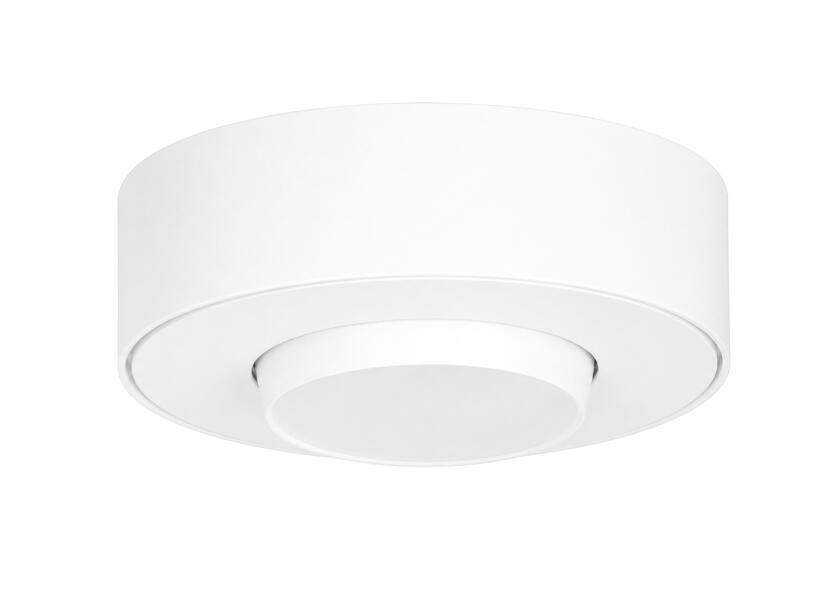Купить SEATEC потолочный светильник поверхностного монтажа LED / регулируемый светильник / из алюминия / белый 7ft.ru в интернет магазине Семь Футов