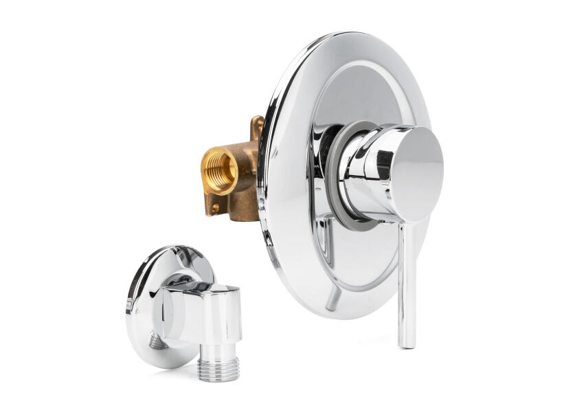 Купить BAVARIA 300882_BH Арматура для душа скрытого монтажа SYLT 20617-bvs 7ft.ru в интернет магазине Семь Футов