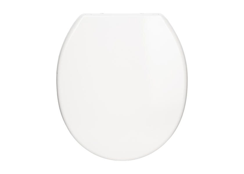 Купить SANIMARIN Replacement Lid for Sanimarin 31/35 / Soft Close 44374-bvs 7ft.ru в интернет магазине Семь Футов