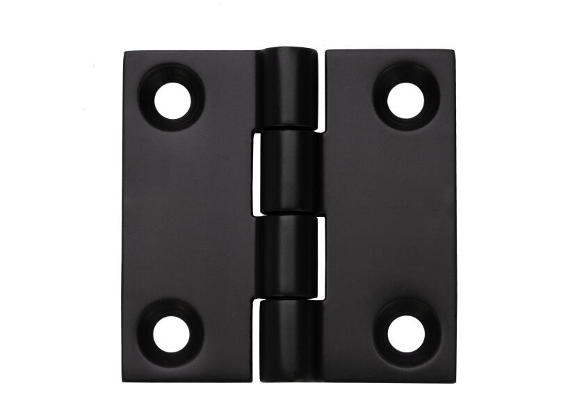 Купить Stainless Steel Hinge / square / matt black / set of 2 56246-bvs 7ft.ru в интернет магазине Семь Футов