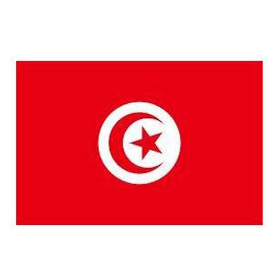 Oem marine FL420140 30x40 cm Флаг Туниса  Multicolour