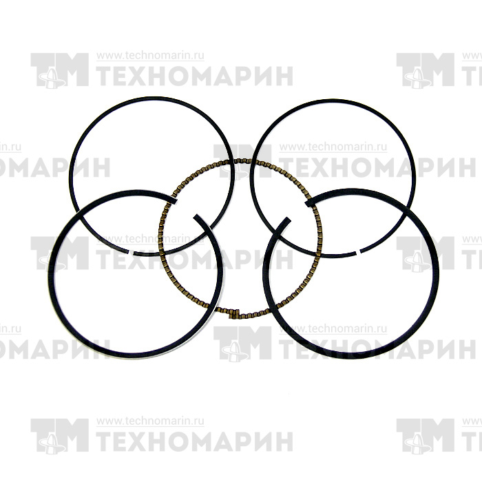 Поршневые кольца BRP 600/900 ACE (+0.25мм) 010-964-04 WSM