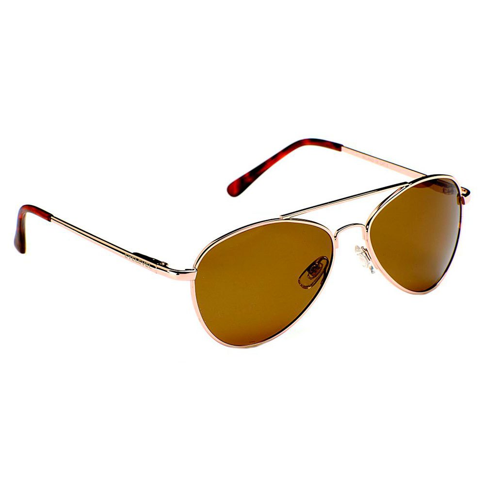 Eyelevel 269100 поляризованные солнцезащитные очки Milano Silver Brown/CAT3