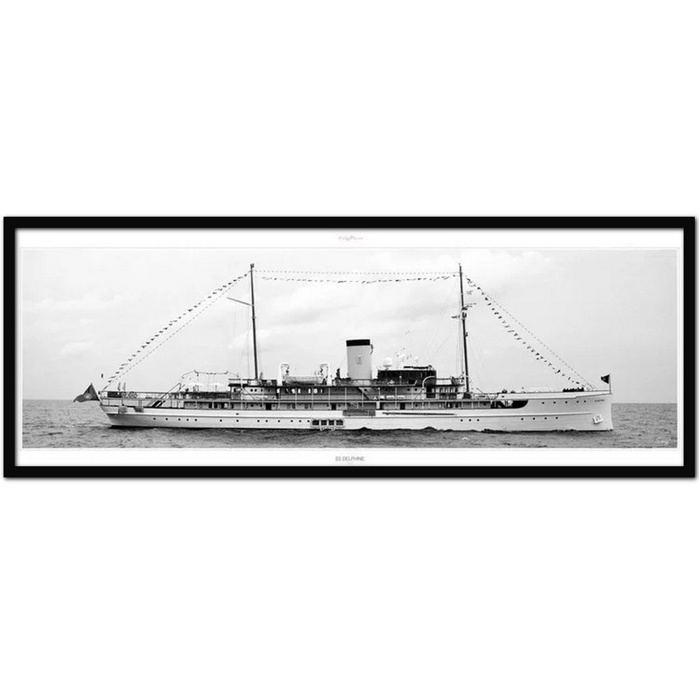 Постер Дельфин "SS Delphine" Филиппа Плиссона Art Boat/OE 206.01.371NС 20x60см в черной рамке с веревкой
