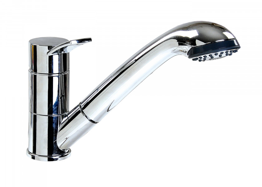 Купить REICH Single-Lever Mixer with Shower Head 80165-bvs 7ft.ru в интернет магазине Семь Футов