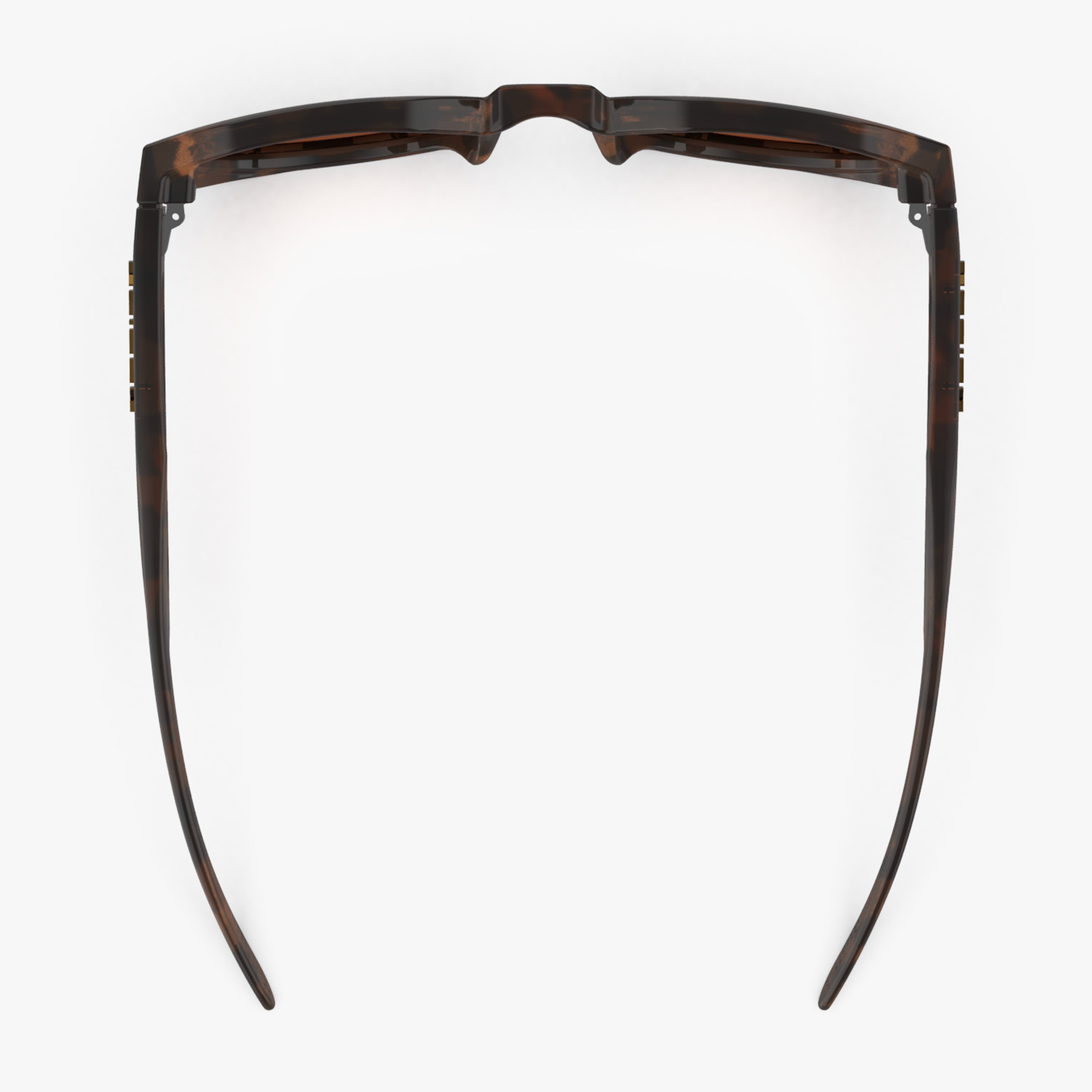 Купить Спортивные очки Scicon Protox 2.0 Dark Havana Gloss Brown, ey333123 7ft.ru в интернет магазине Семь Футов