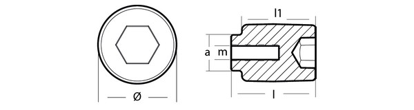 cinkovyj_anod_tecnoseal_01156-1_ø21x32x14mm_sterzhnevoj_dlya_dvigatelej_yamaha_75-250ls_2_mini.jpg