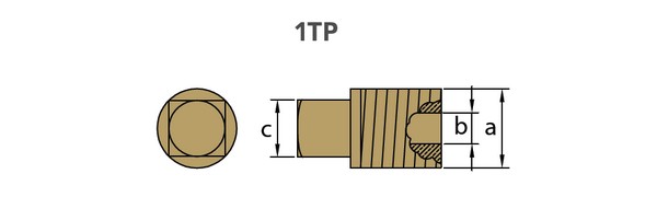 latunnaya_zaglushka_tecnoseal_02021tp_10mm_dlya_sterzhnevyx_anodov_2_mini.jpg