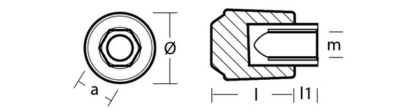 cinkovyj_anod_tecnoseal_02402_ø22x33mm_sterzhnevoj_dlya_dvigatelej_castoldi_2_mini.jpg