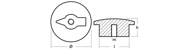 cinkovyj_anod_tecnoseal_06001_ø69x50x30mm_diskovyj_dlya_dvigatelej_zf_2_mini.jpg