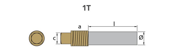 cinkovyj_anod_tecnoseal_02021t_ø10x55mm_sterzhnevoj_s_latunnoj_zaglushkoj_dlya_dvigatelej_caterpillar_2_mini.jpg