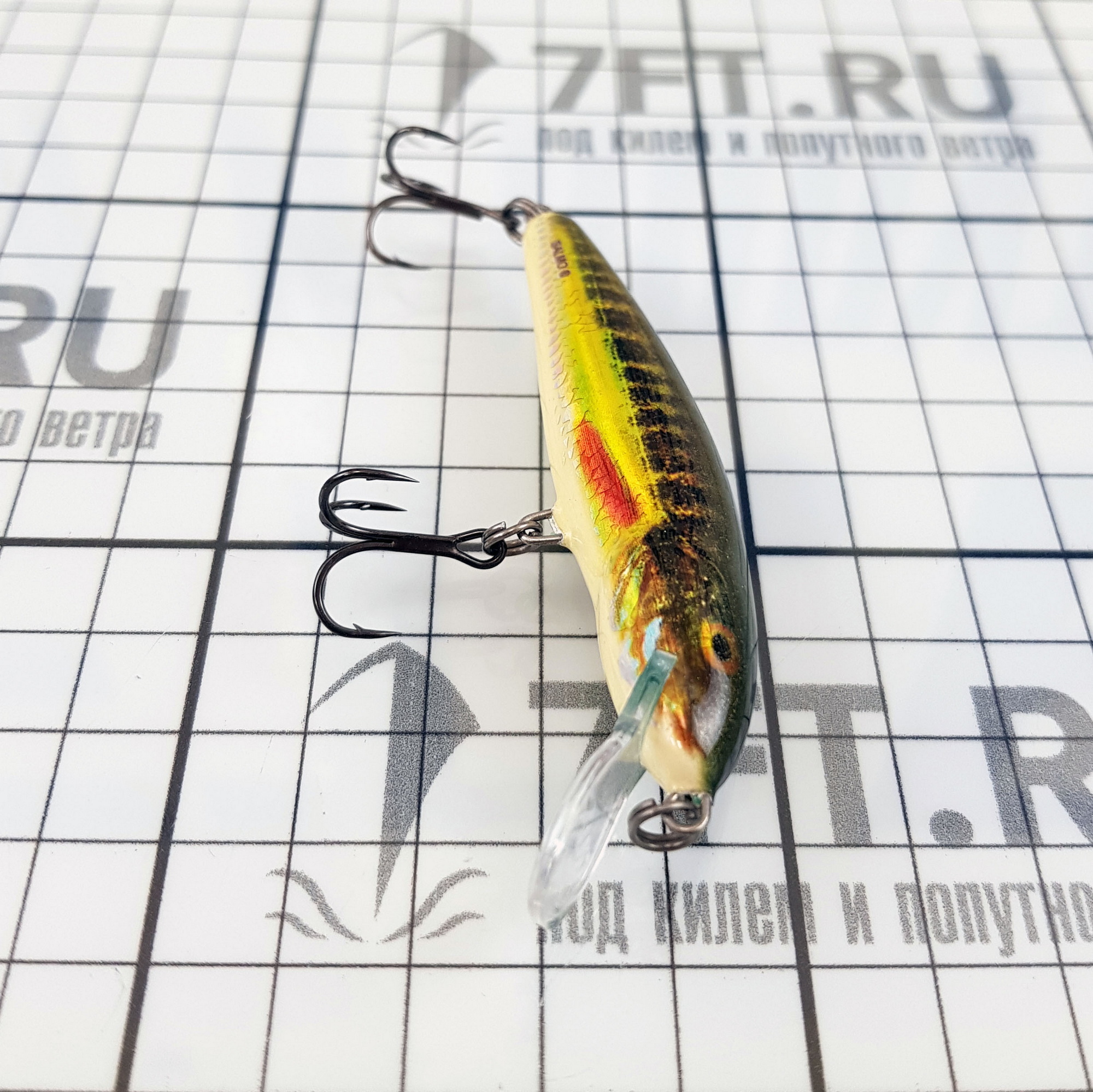 Купить Приманка Salmo Minnow Sinking QMW048 70мм 8г погружение 1,5-2м цвет Holo Real Minnow 7ft.ru в интернет магазине Семь Футов